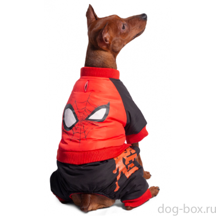 Комбинезон зимний "Marvel - Человек-паук" S (25 см.)    -0