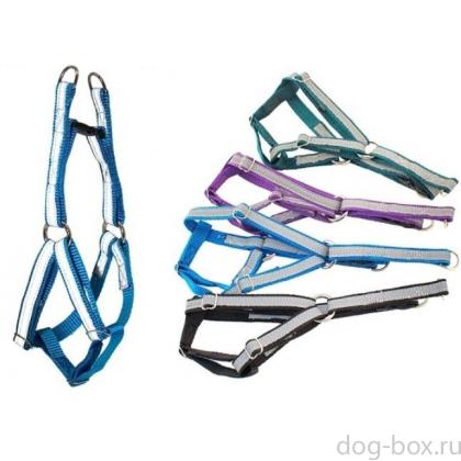 Шлейка светоотражающая быстросъемная, 15мм, 20-28см*40-50см, черная-0