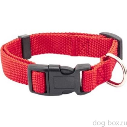 Ошейник Сити красный 15мм, обхват 25-35см -0