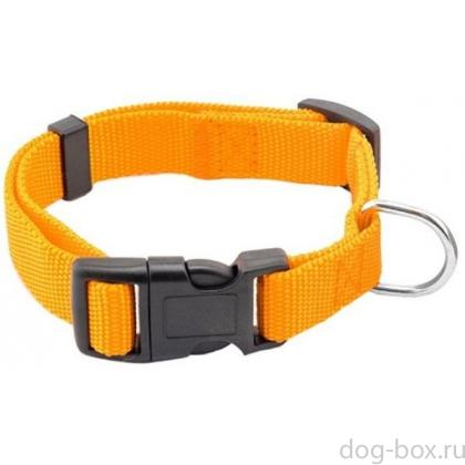 Ошейник Сити оранжевый 15мм, обхват 25-35см -0