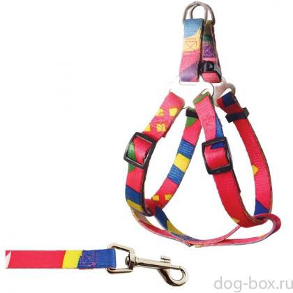 Комплект "Абстракция" шлейка 1*20-40см и поводок 1*120см, нейлон (218 SH)-0