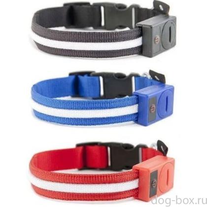 Ошейник LED светящийся точечный, 3 режима, 45-48см (L) красный-0