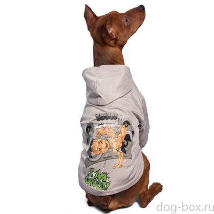 Дождевик-попона "Marvel - Грут" XS (20см)  -0