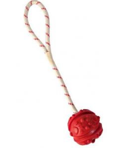 Игрушка для собак,  Мяч на веревке, o 4,5 / 35 см  (33481)