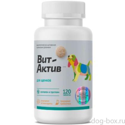 Биологически активная кормовая добавка Вит-Актив  для щенков, 120 таб-0