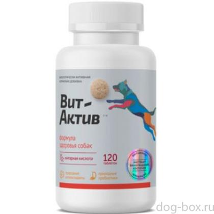 Биологически активная кормовая добавка Вит-Актив для иммунитета, формула здоровья собак, 120 таб-0