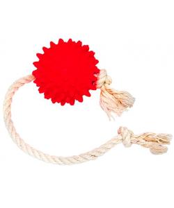 Игрушка для собак  Мяч на веревке, 6 см