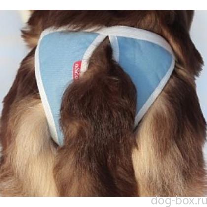 Трусы для собак многоразовые ABSORB, размер XL-0