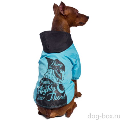 Дождевик-попона "Marvel - Тор" XS (20см)   -0