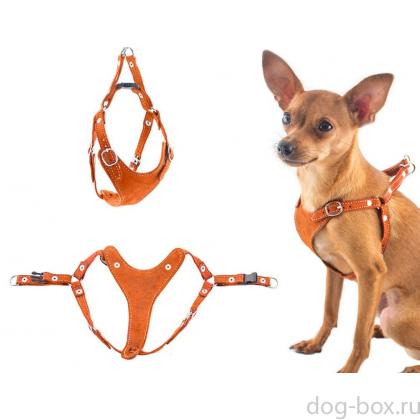 Шлейка быстросъемная мини "Ева" 19-27см*24-32см, коричневая-0