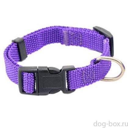 Ошейник Сити фиолетовый 15мм, обхват 25-35см -0