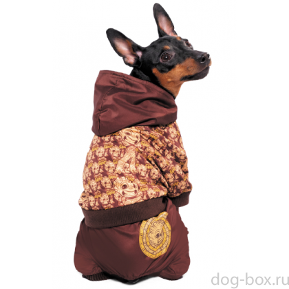 Комбинезон-дождевик демисезонный "Marvel - Малыш Грут" XS (20см)    -0