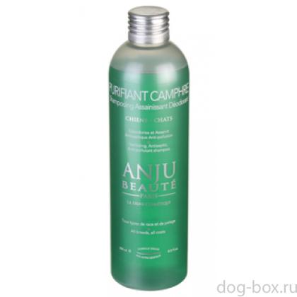 Шампунь Очищающий и Антисептический: камфора и корень лопуха (Purifiant Camphre Shampooing) -0