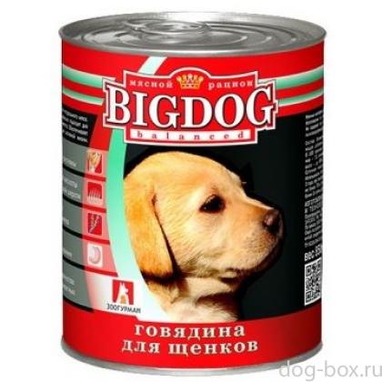 Консервы для щенков "BIG DOG" -0